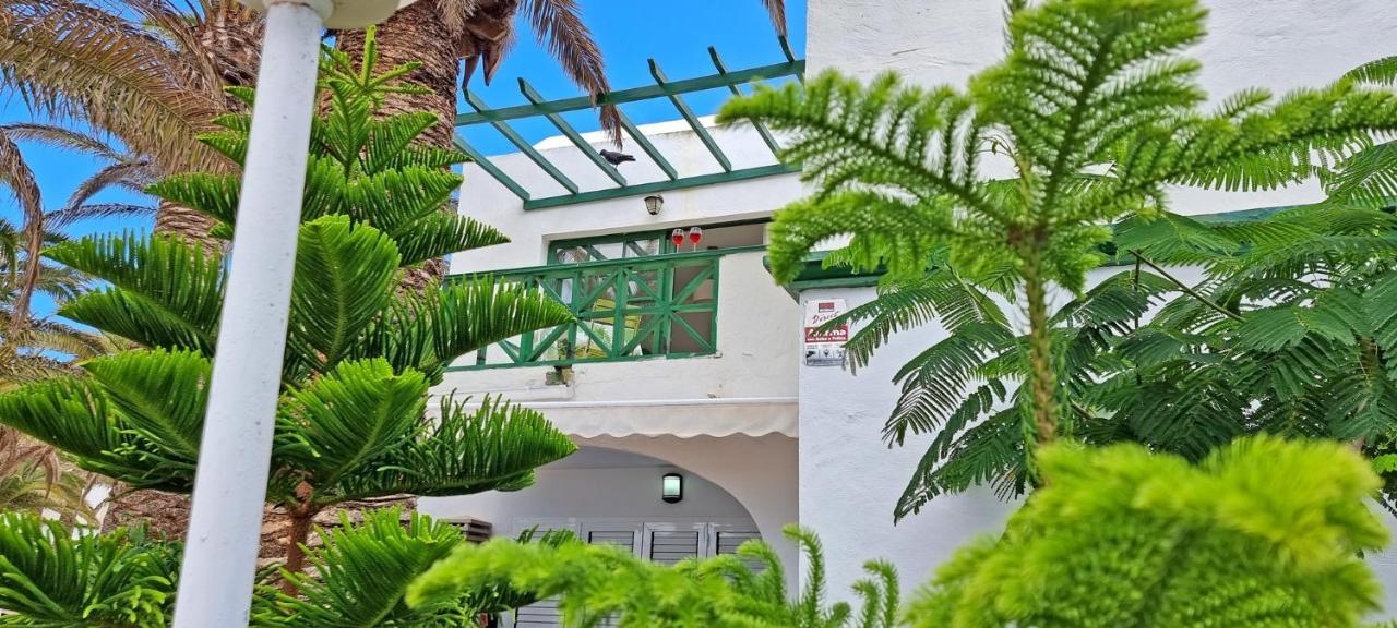 Ferienwohnung Palm Garden - Costa Calma - Pool - Glasfaserinternet Exteriör bild